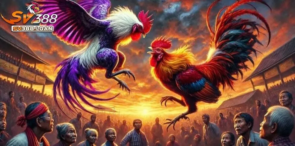 Đá Gà Sv388 2 Đặc điểm cơ bản của sản phẩm Đá Gà Sv388